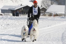 Lenk 2012 SM